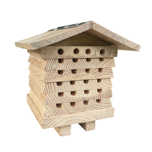 Interactive Solitary Bee Hive