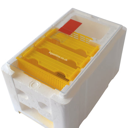 Mini Queen Mating Nuc Box | EPS Polystyrene Hive with Feeder & 3 Frames