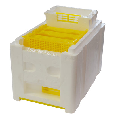 Mini Queen Mating Nuc Box | EPS Polystyrene Hive with Feeder & 3 Frames