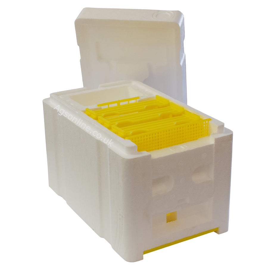 Mini Queen Mating Nuc Box | EPS Polystyrene Hive with Feeder & 3 Frames