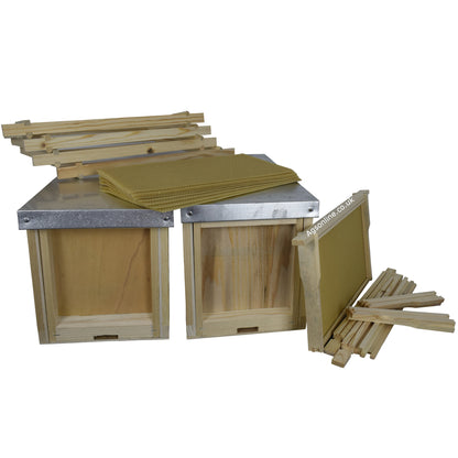 Nucleus Hive Complete Kit – Twin Pack